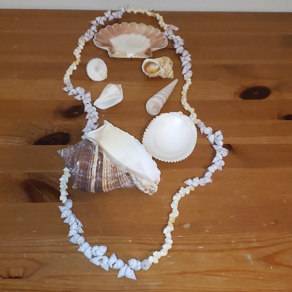 7 piece shell set & 24" necklace - Picture 2 of 2